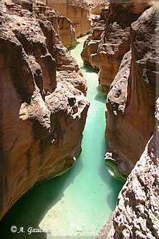 Flussaufwärts